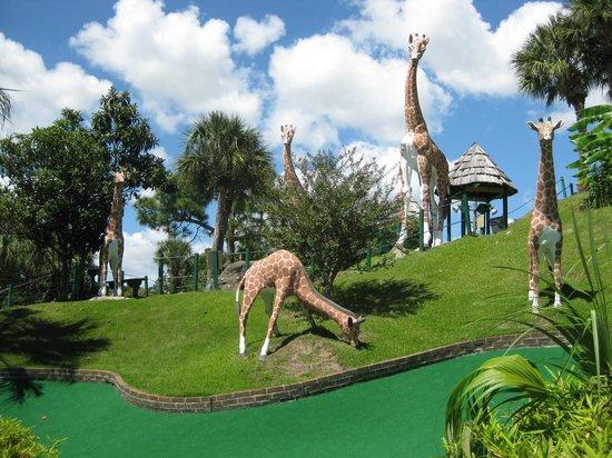 Jungle Lagoon